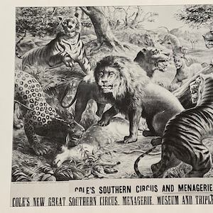 Cole&#39;s Southern Circus, Britain, French, Poster, Double-Sided, Graphics, Picture, Book Page, Print, 16 x 11&quot;, Art, Vintage, ~ 20-01-320