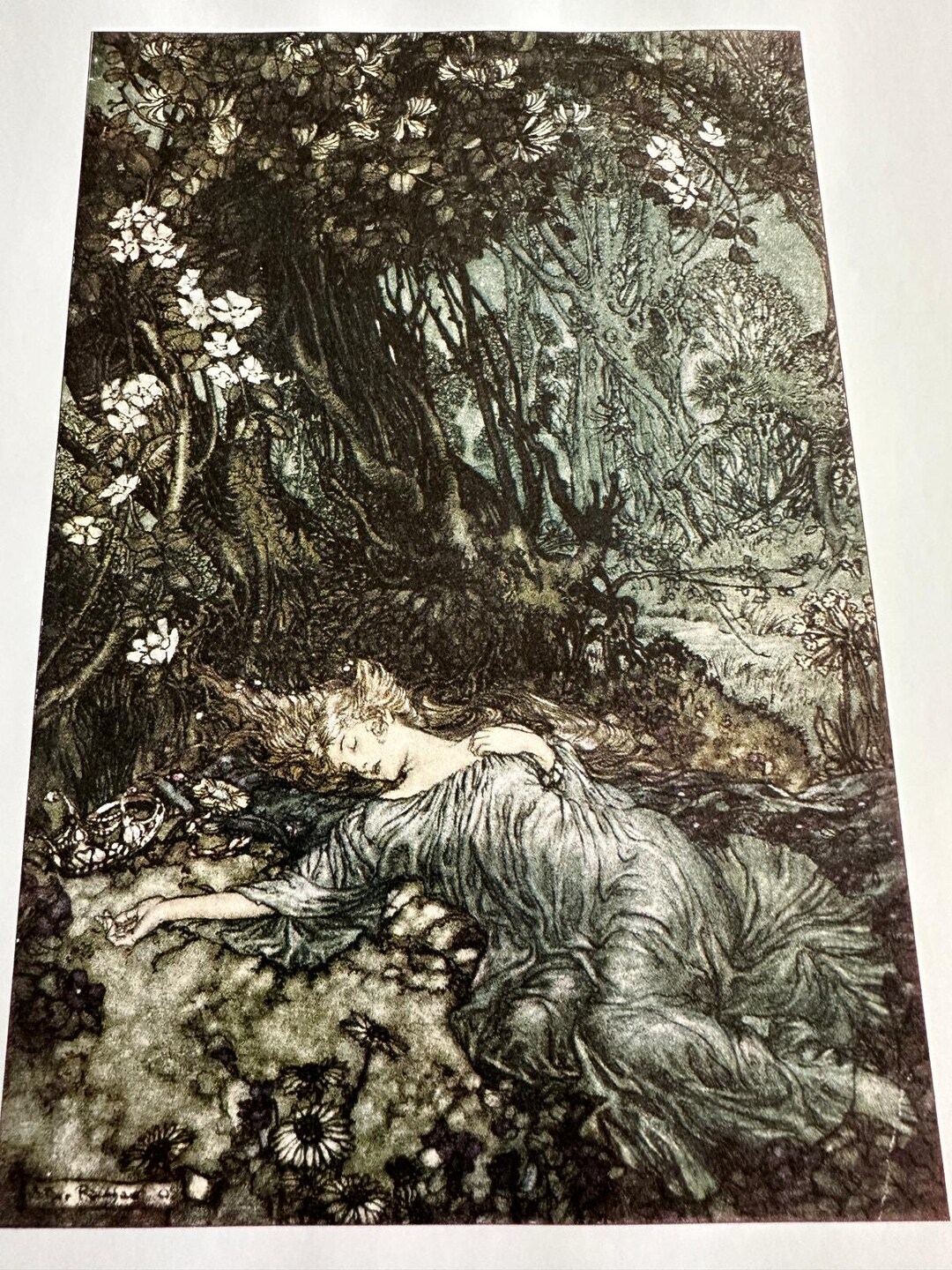 Arthur Rackham Titania Lying Asleep Illustration 8x11 Art Print Vintage ...