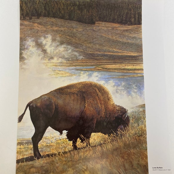 Steve Hanks, Lone Buffalo, Gato, Cat, Animal, Poster, Double-Sided, Painting, Picture, Watercolor, Book Page, Print, Art, Vintage,~20-05-166