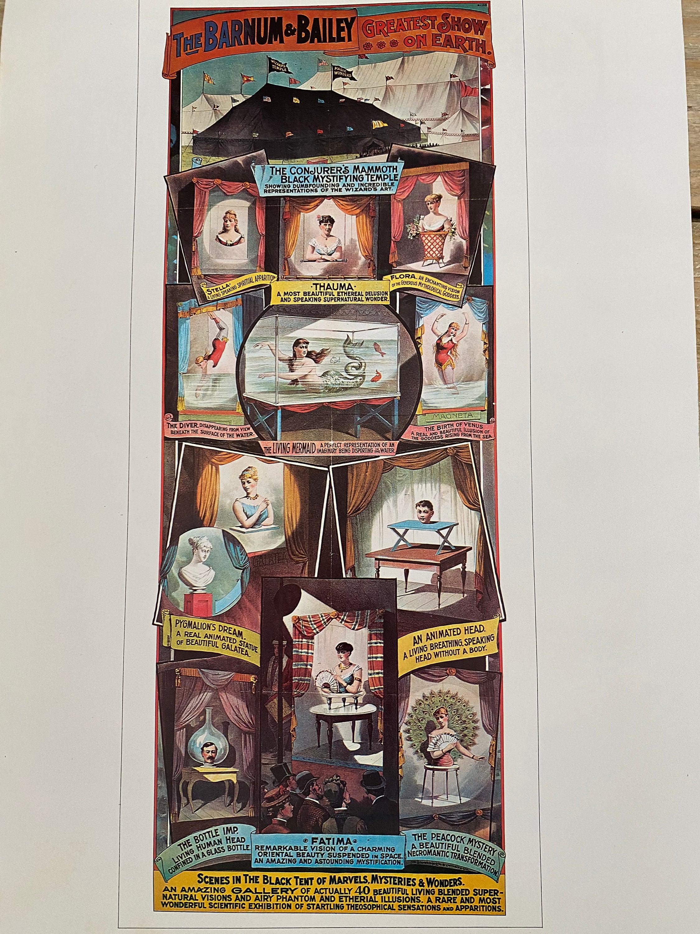 The Barnum & Bailey, Hellers, Coterie, Magic, Poster, Double-Sided, Graphics, Picture, Book Page, Print, 16 x 11", Art, Vintage, ~ 543 60