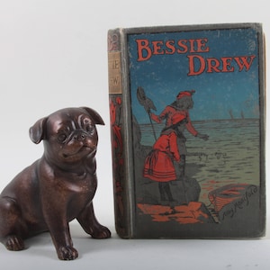 Bessie Drew, The Odd Little Girl, Amy Manifold, Hardcover, Embellished Spine Cover, Novel, With Illustrations ~ 20-17-590