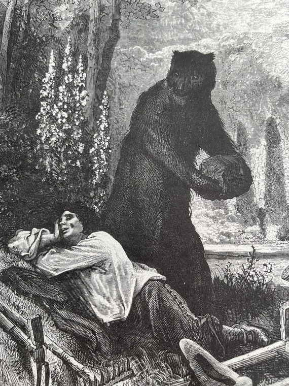 Gustave Dore, the Bear and the Amateur of Gardening, Graphics