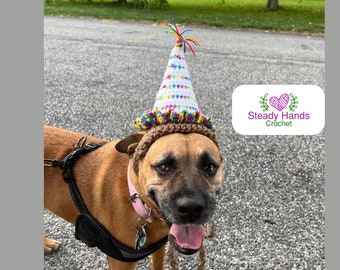 Dog Birthday Hat