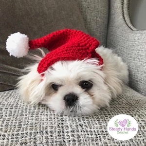 Santa Hat for Small Dogs