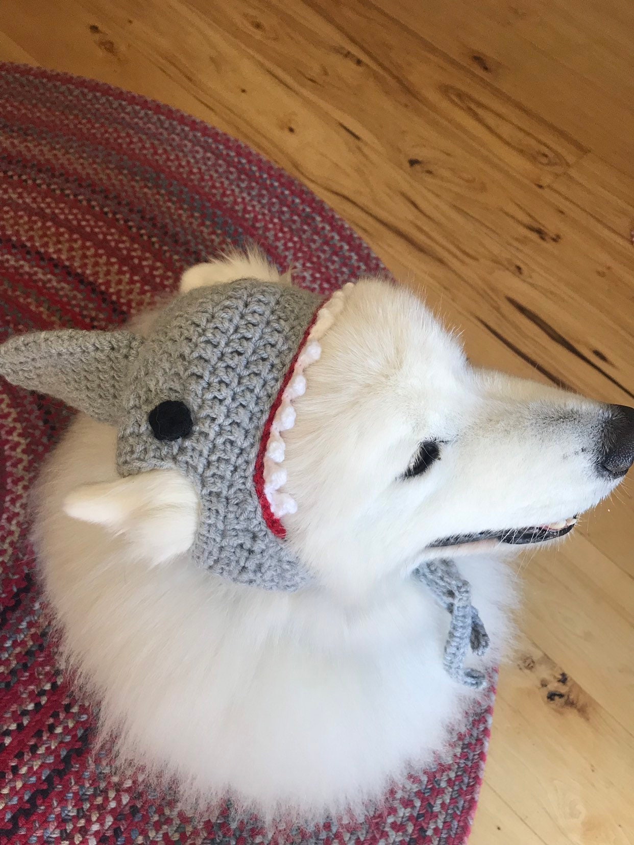 Shark Hat for Large Dogs Etsy Canada