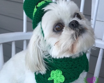 Lucky Dog Hat and Bandana Set