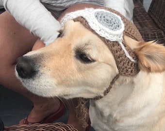 Aviator Hat for Pets