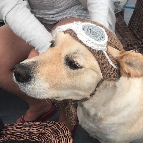 Aviator Cat Hat Etsy