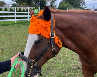 Pumpkin Hat for Horses