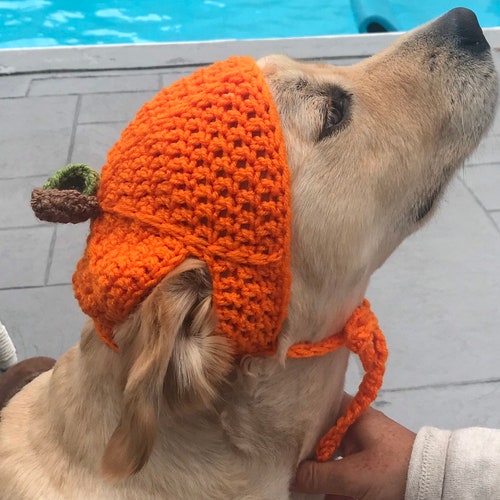 Cute Sombrero Hat for Large Dog / Halloween Dog Costume /dogs Etsy