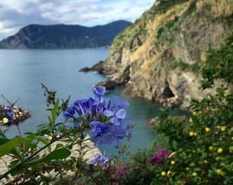 Cinque Terre Trail
