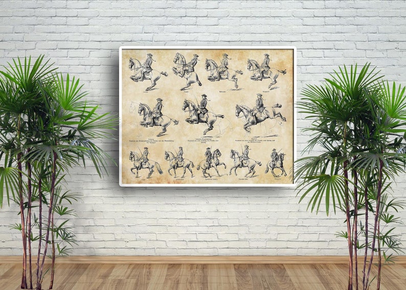 Horse Riding School Print Antique Horse Dressage, papier dart, Canvas Print image 3