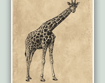 Giraffe Art, Giraffe Print, art africain, Affiche girafe, faune africaine, impression girafe rustique, décor mural, cottage ou décor de maison, imprimable