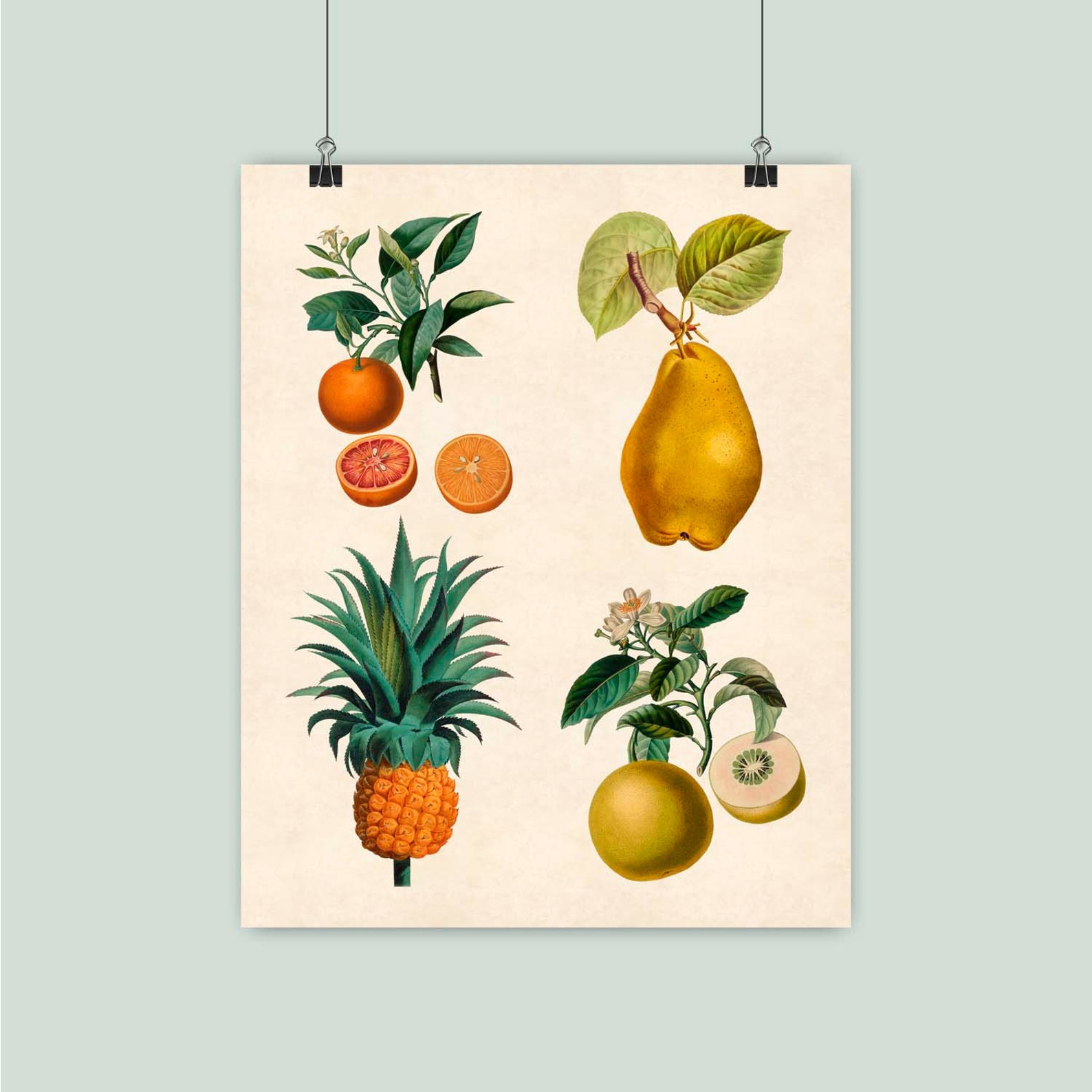 Fruit Art Kitchen Fruit Art Botanicals Kitchen Art Kitchen Etsy