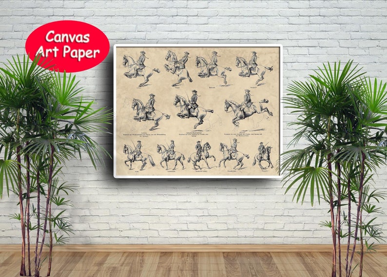 Horse Riding School Print Antique Horse Dressage, papier dart, Canvas Print image 2