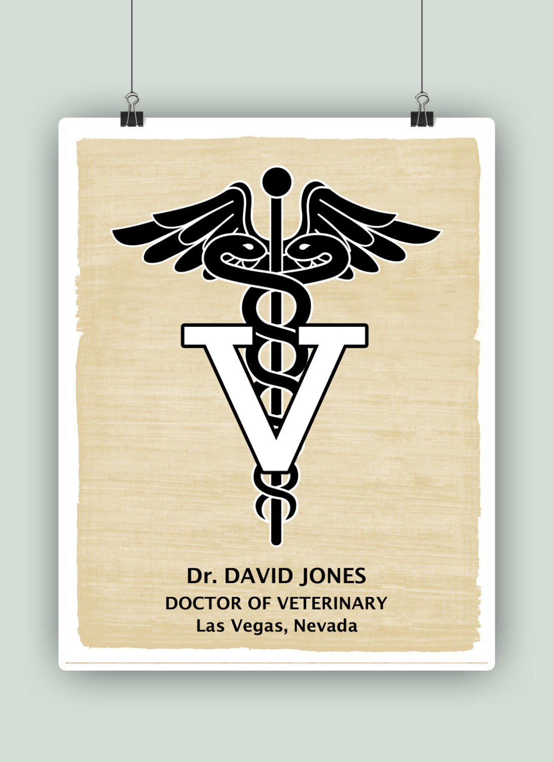 Doctor of Veterinary Art, PERSONALIZED Veterinarian Print, Veterinary