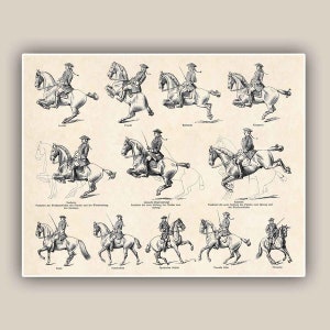 Horse Riding School Print Antique Horse Dressage, papier dart, Canvas Print image 1