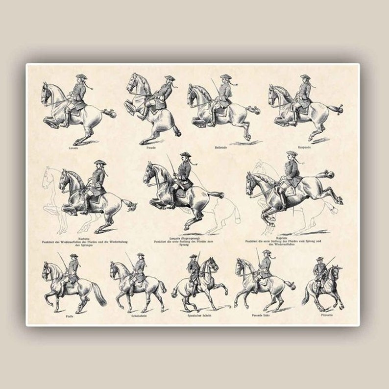 Horse Riding School Print Antique Horse Dressage, papier dart, Canvas Print image 1