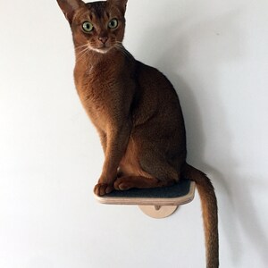 Cat Platform PERCH original image 7