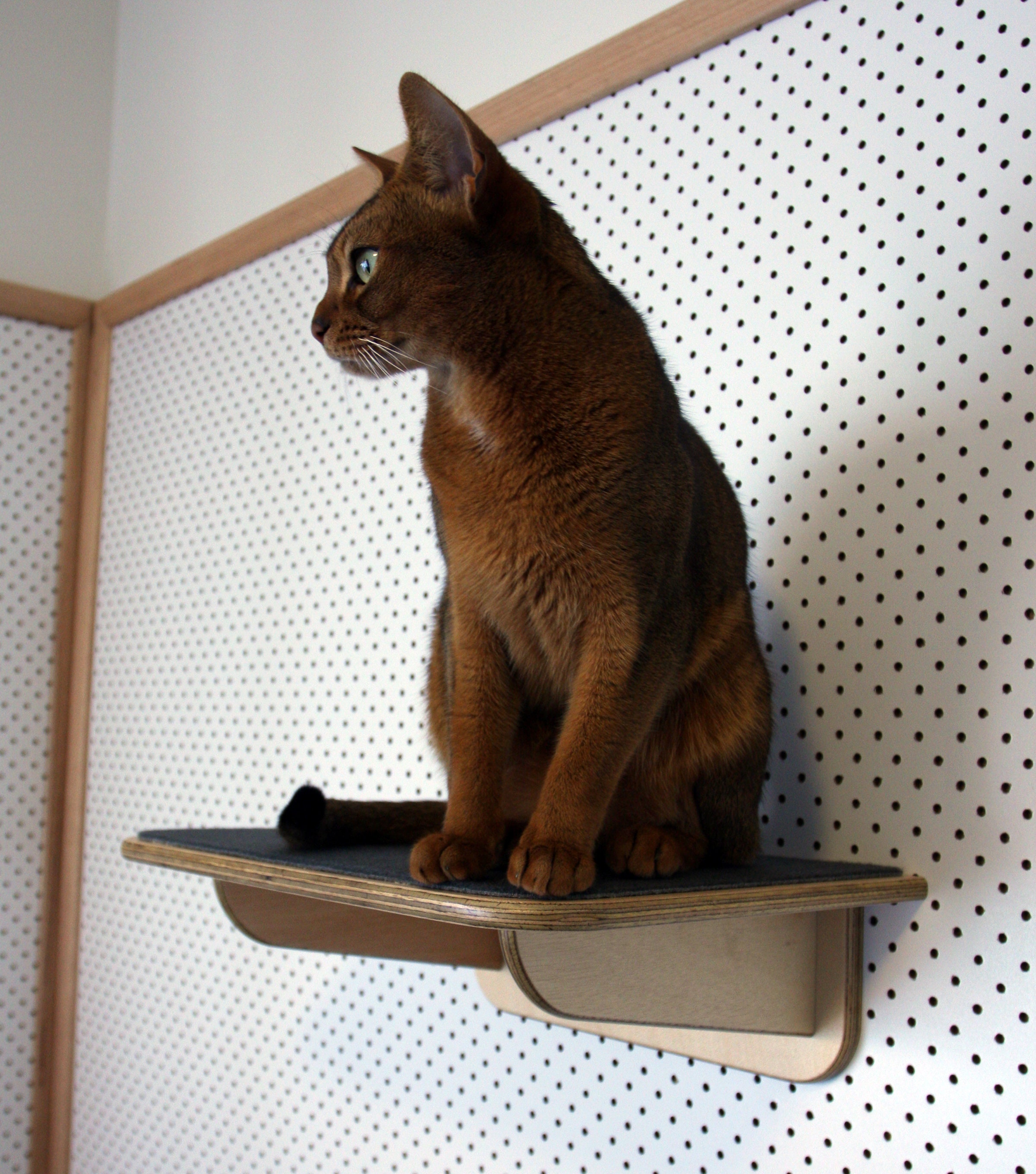 cat platform boots
