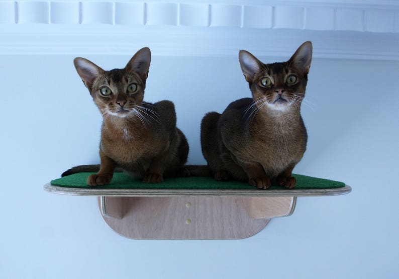 Cat Platform - MONDO(original) Cat Platform - MONDO(original)