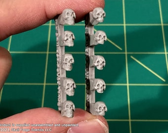 SKULLS (Pack of 50)