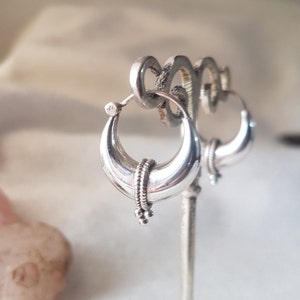 May include: A pair of silver hoop earrings with a crescent moon shape and a small cluster of beads hanging from the bottom.