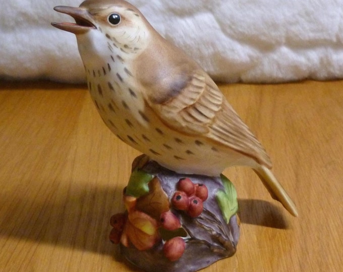 Royal Worcester Thrush, vintage, 3234, handpainted