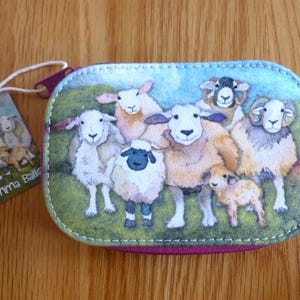Può includere: Una pochette con cerniera viola con un'illustrazione colorata di pecore in un campo verde. La pochette ha un'etichetta che dice "Emma Balls".