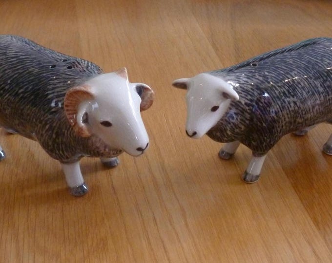 Sheep Salt and Pepper by Quail, Swaledale sheep, ram and ewe, handpainted, ceramic, boxed