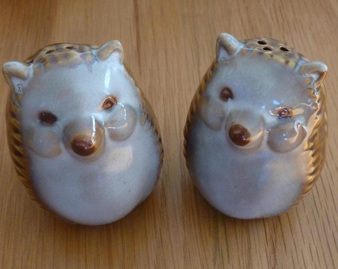 Hedgehog Salt and Pepper Set, ceramic, collectable