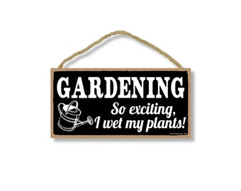 14 X 5 SKU:STCL319 Word Stencil Spring Exciting