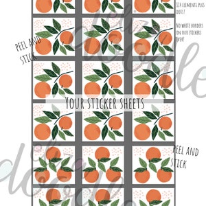 Fruit wall stickers, fruit wall decals, orange stickers, tropical wall stickers, wall stickers for girls bedrooms, alt. to fruit wallpaper image 2