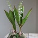 see more listings in the Bouquets/ Arrangements section