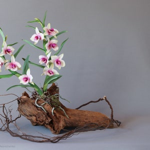 Dendrobium Nobile Orchid made from Japanese air-dry polymer clay. image 8