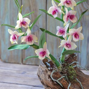 Dendrobium Nobile Orchid made from Japanese air-dry polymer clay. image 5