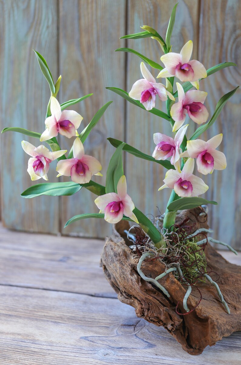 Dendrobium Nobile Orchid made from Japanese air-dry polymer clay. image 5