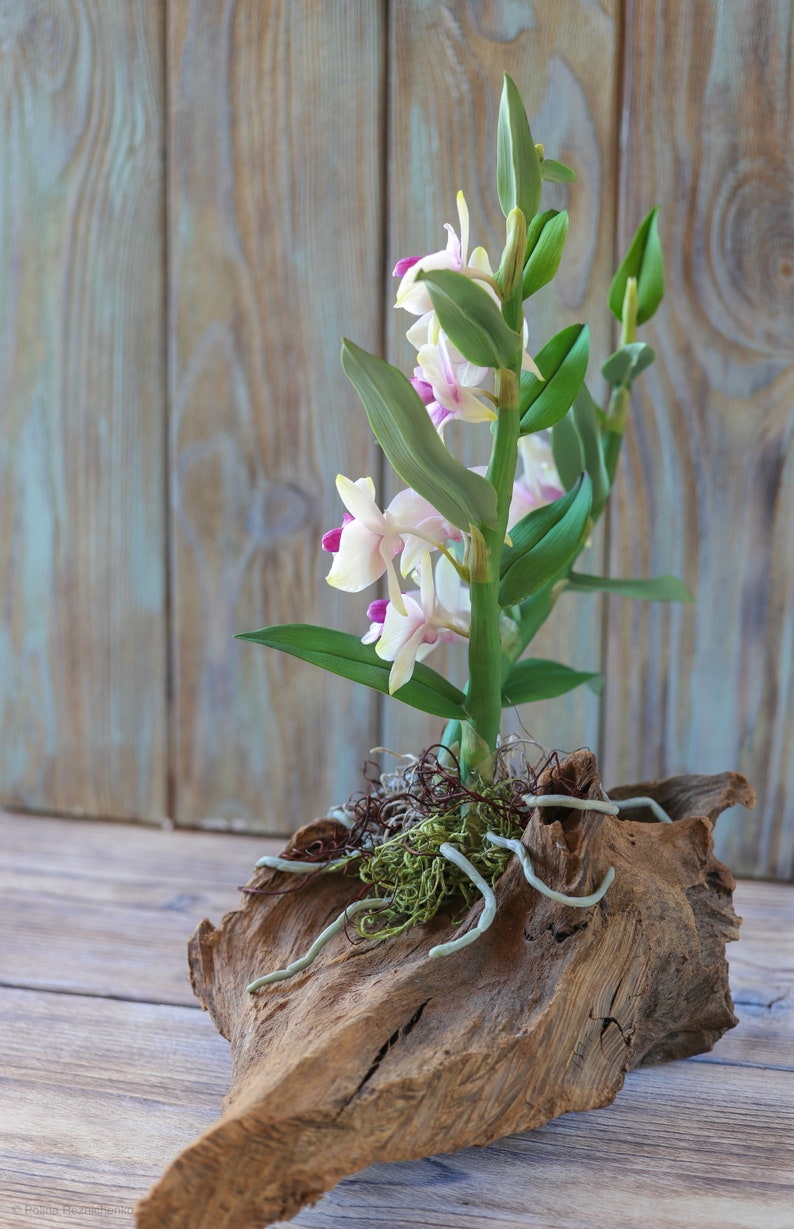 Dendrobium Nobile Orchid made from Japanese air-dry polymer clay. image 6