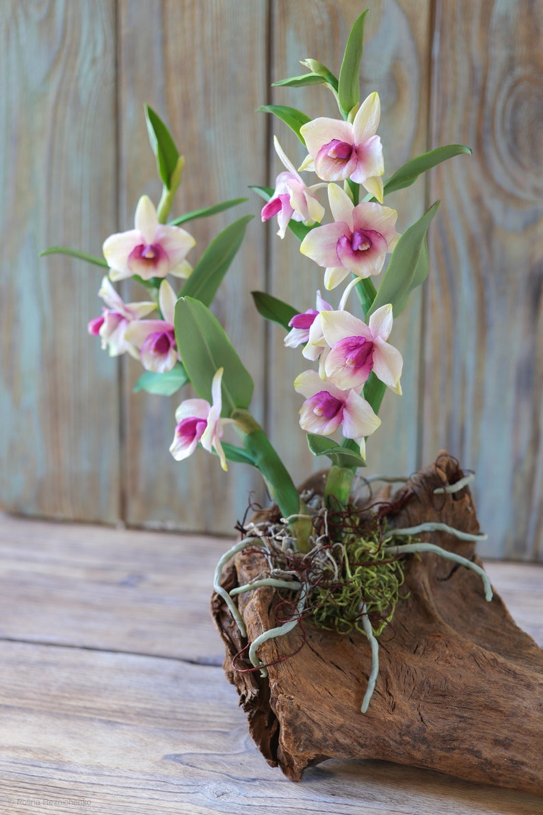 Dendrobium Nobile Orchid made from Japanese air-dry polymer clay. image 3