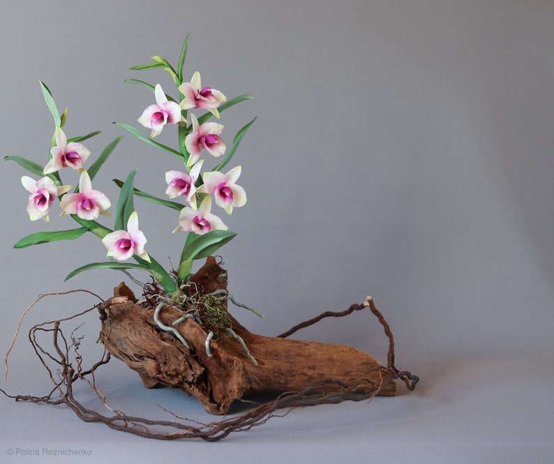 Dendrobium Nobile Orchid made from Japanese air-dry polymer clay. image 8