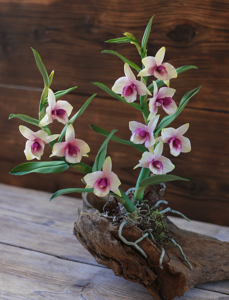 Dendrobium Nobile Orchid made from Japanese air-dry polymer clay. image 1