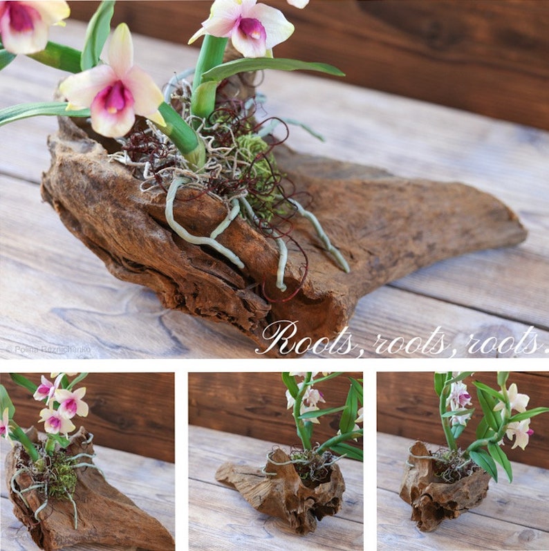Dendrobium Nobile Orchid made from Japanese air-dry polymer clay. image 2
