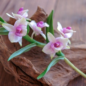 Dendrobium Nobile Orchid made from Japanese air-dry polymer clay. image 7