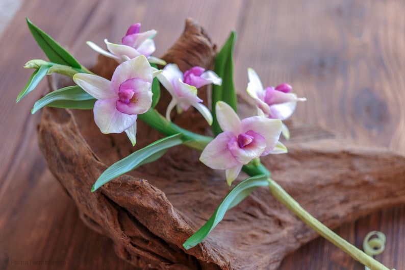 Dendrobium Nobile Orchid made from Japanese air-dry polymer clay. image 7
