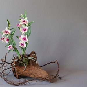 Dendrobium Nobile Orchid made from Japanese air-dry polymer clay. image 9