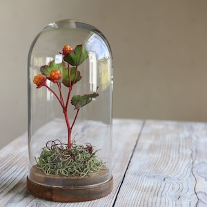 Cloudberry Rubus Chamaemorus Nordic berry Knotberry arrangement in glass dome/ display cloche handmade from air-dry Japanese polymer clay.