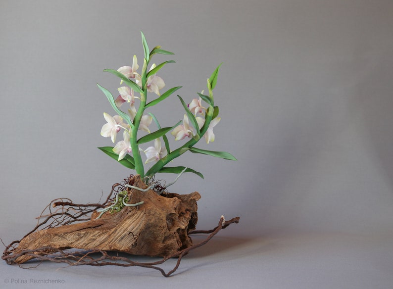 Dendrobium Nobile Orchid made from Japanese air-dry polymer clay. image 10