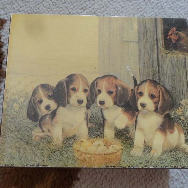 Beagles Puppies Dog Picture 4 x 5 Small Cedar Chest Hope Chest Wood Box Nice collectible! Keepsakes chicken