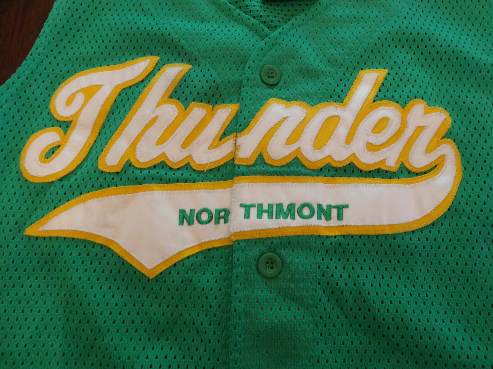 Northmont School Thunderbolt Green Embroidered Sleeveless | Etsy