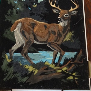 Paint by Number Deer & Lake Finished Print 11 x 14 Print